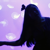 Welcome to Fantasy Jellyfish world by Mika Ninagawa